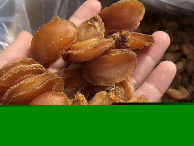 大連干鮑(100頭)